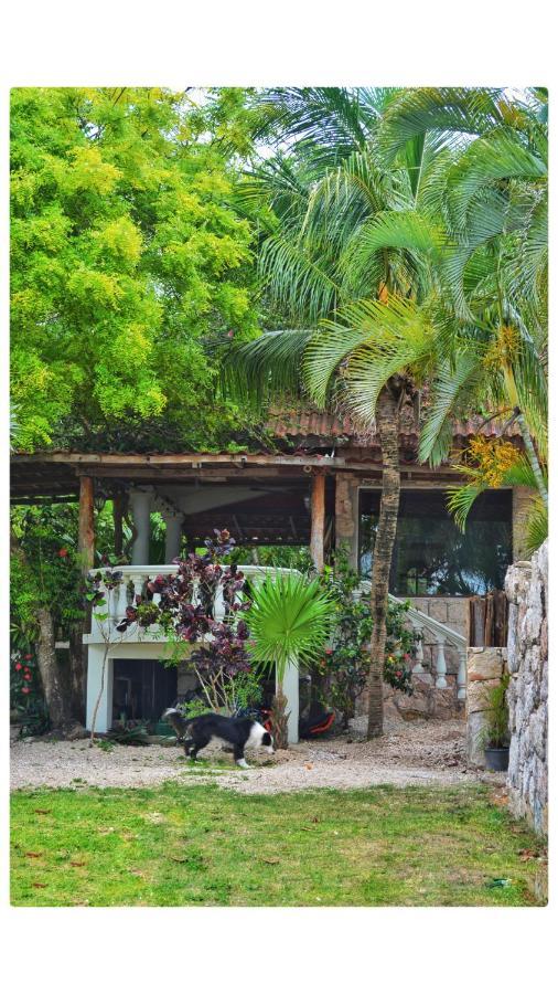 Tortuga Bacalar Bed and Breakfast Exteriör bild