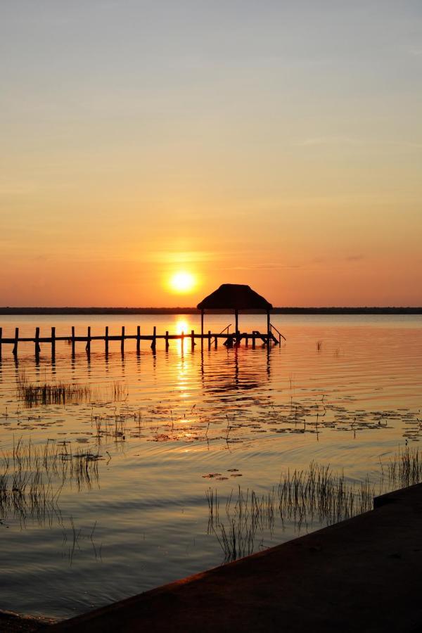 Tortuga Bacalar Bed and Breakfast Exteriör bild