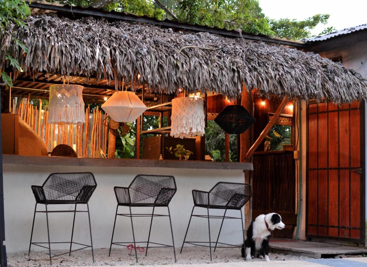 Tortuga Bacalar Bed and Breakfast Exteriör bild