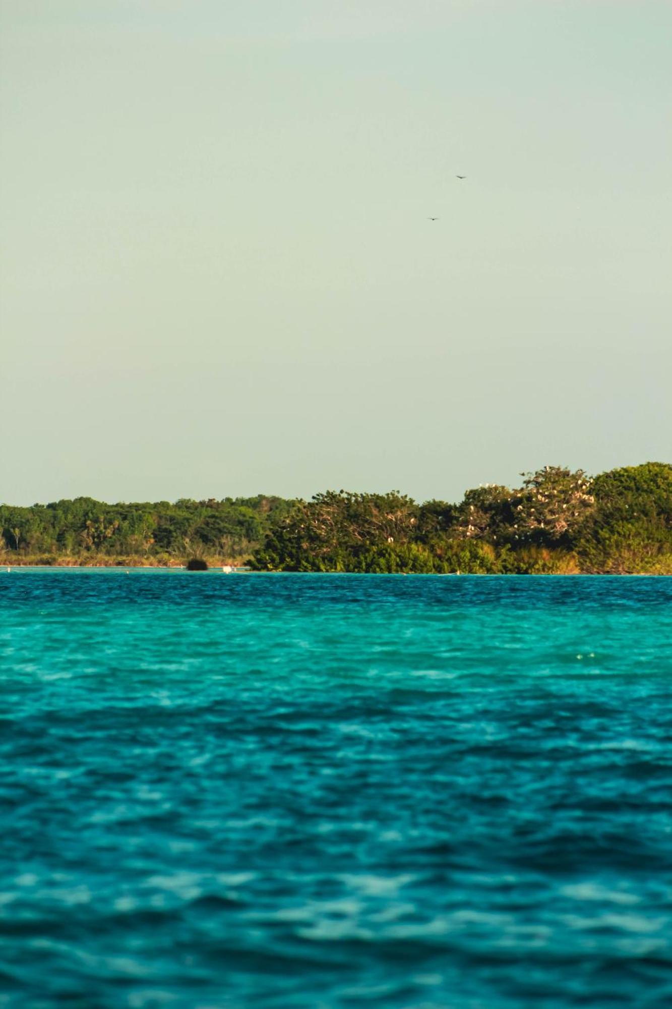 Tortuga Bacalar Bed and Breakfast Exteriör bild