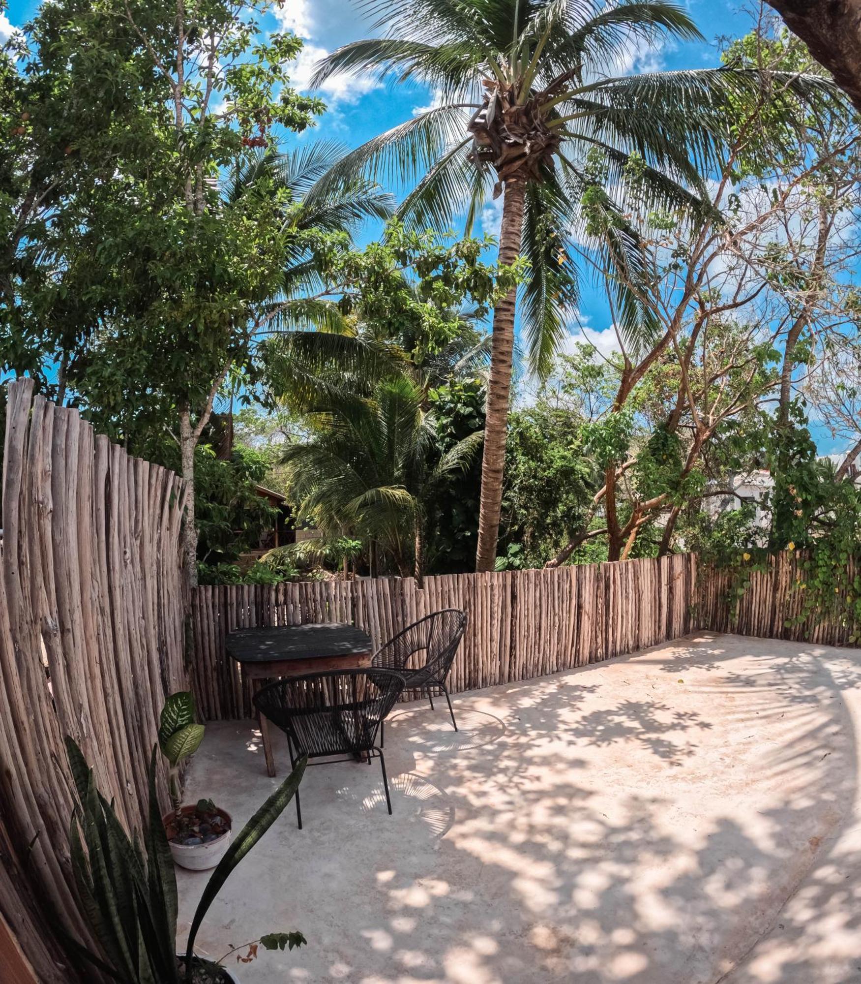 Tortuga Bacalar Bed and Breakfast Exteriör bild