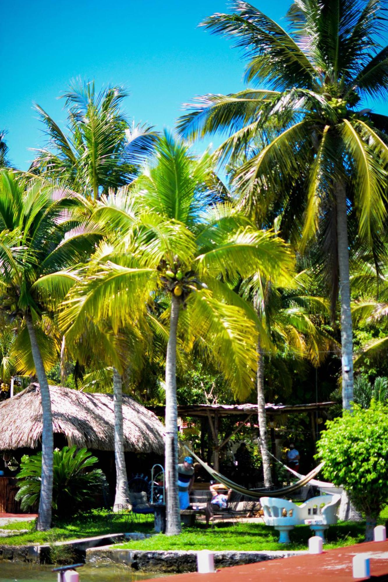 Tortuga Bacalar Bed and Breakfast Exteriör bild